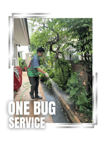 บริการกำจัดปลวกครบวงจร (2)